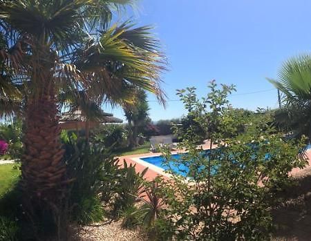 Quinta Das Amendoeiras B&B Nora  Kültér fotó