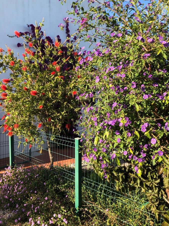 Quinta Das Amendoeiras B&B Nora  Kültér fotó