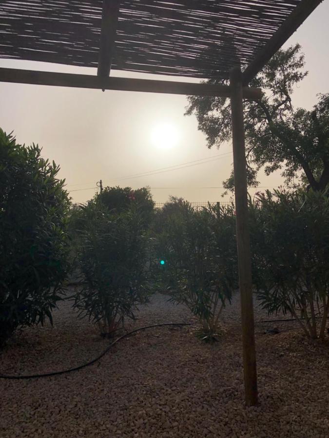 Quinta Das Amendoeiras B&B Nora  Kültér fotó