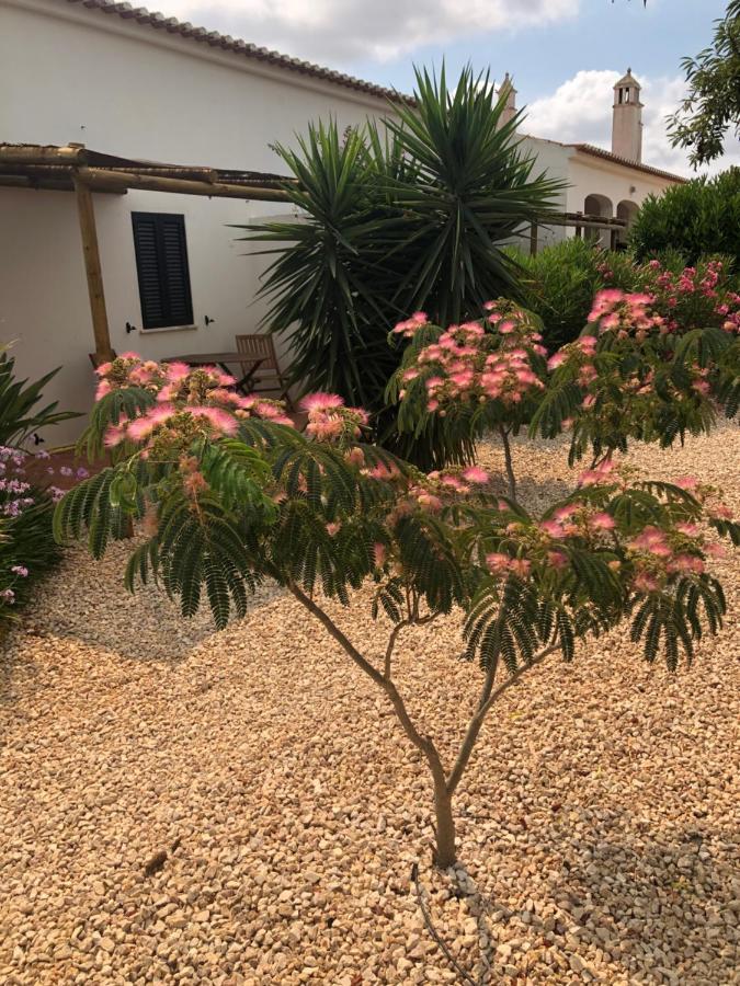 Quinta Das Amendoeiras B&B Nora  Kültér fotó