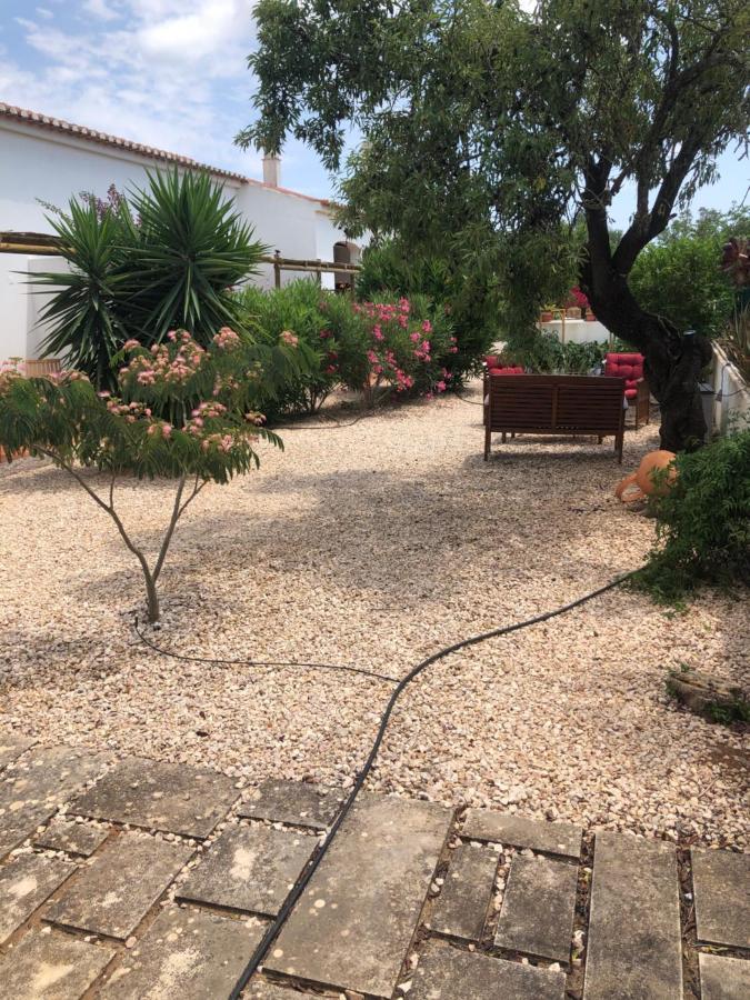 Quinta Das Amendoeiras B&B Nora  Kültér fotó